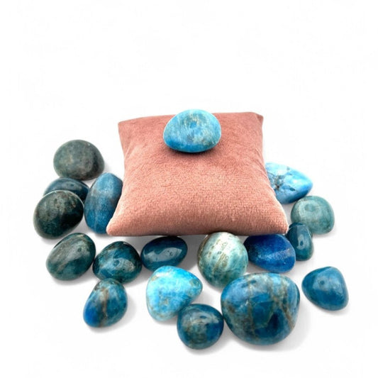 Pierre roulée Apatite Bleue - Pierre porte - bonheur